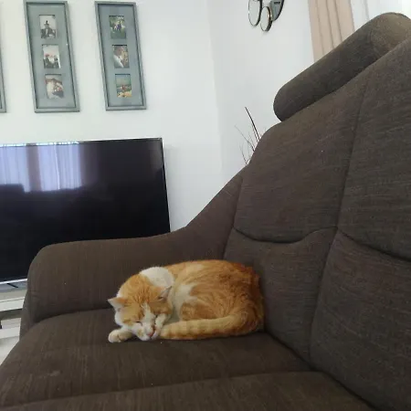 Juric Апартаменты Трогир